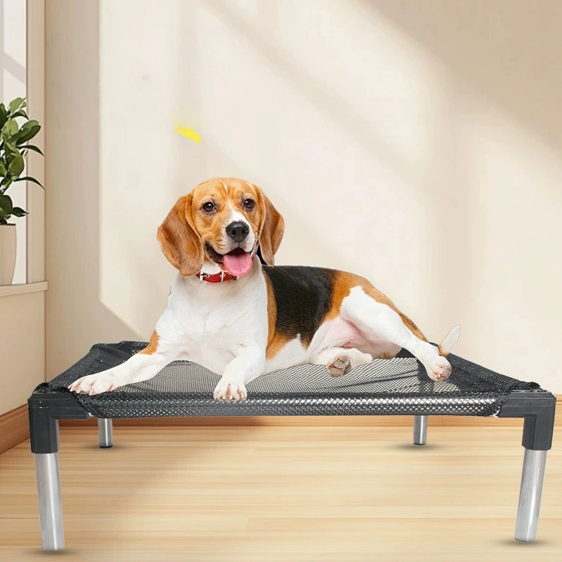 Chłodzące Podwyższone Legowisk – Outdoor Camping Couch recenzja i cena