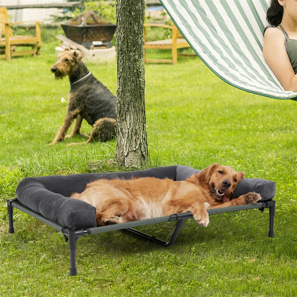 BINGOPAW Podwyższone legowisko – Outdoor Camping Cot recenzja i cena
