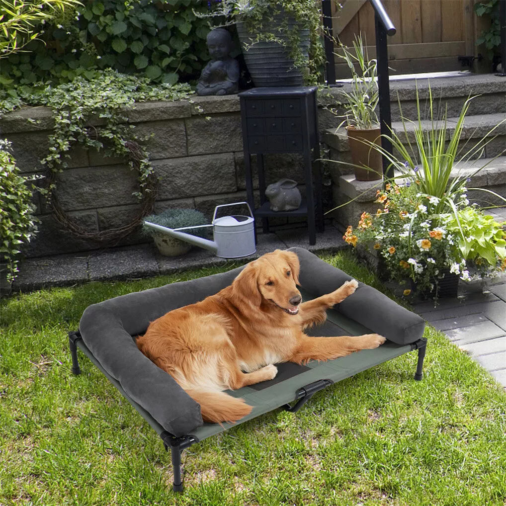 BINGOPAW Podwyższone legowisko – Outdoor Camping Cot recenzja i cena